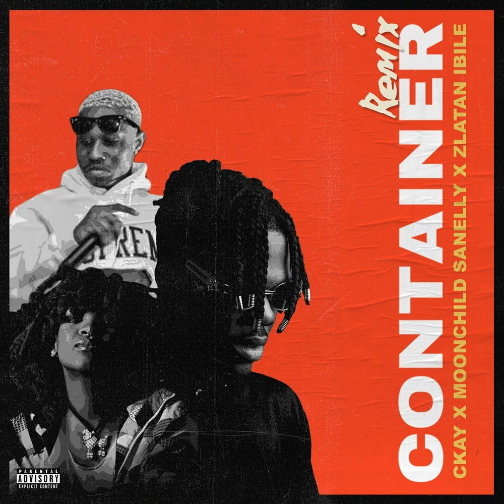 Picture of Container (feat. Moonchild Sanelly and Zlatan Ibile) (Remix)