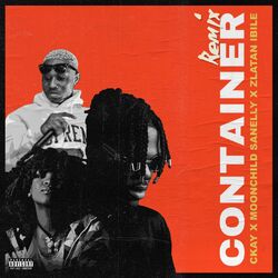 Cover of Container (feat. Moonchild Sanelly and Zlatan Ibile) (Remix)