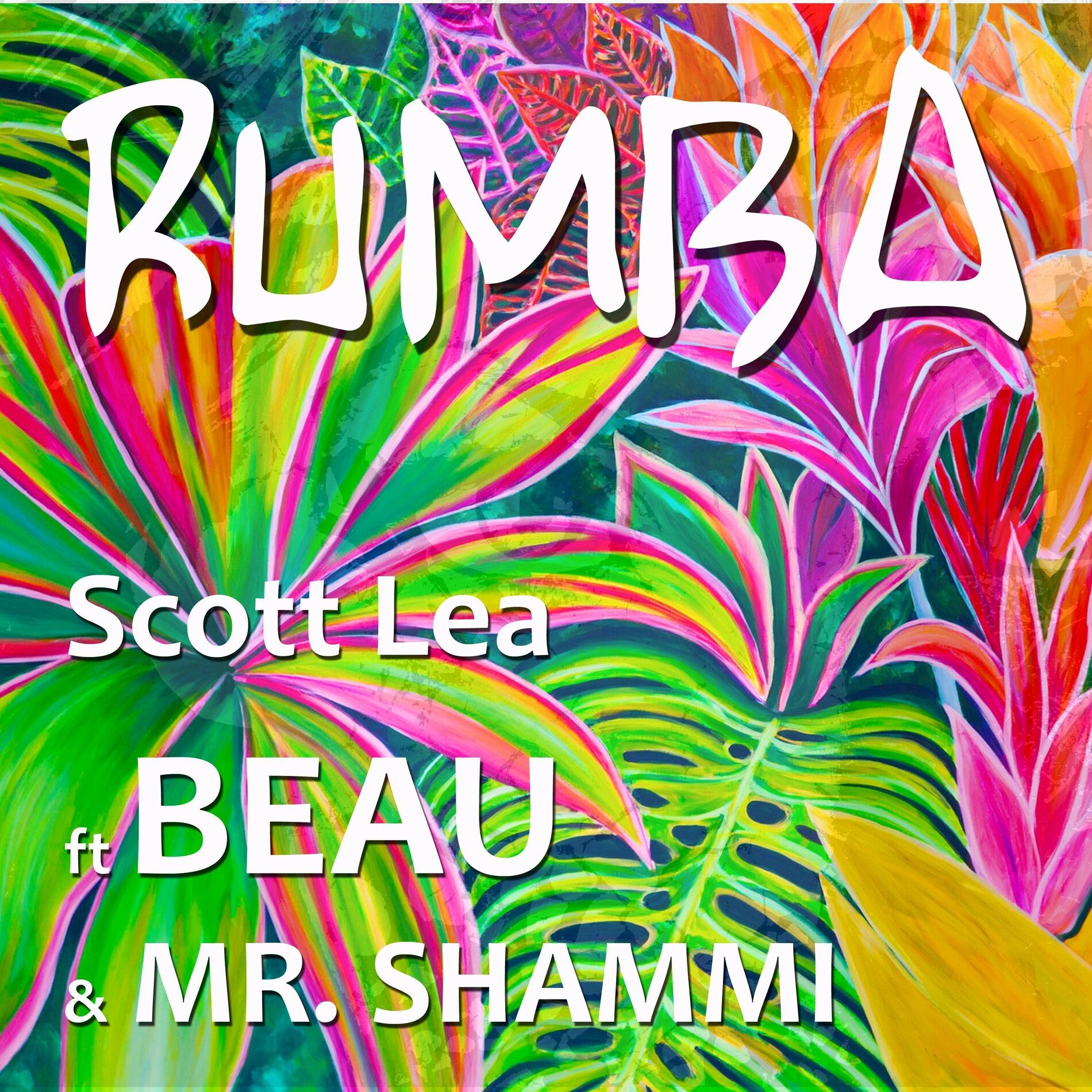 Album cover of Rumba (feat. Beau & Mr. Shammi)