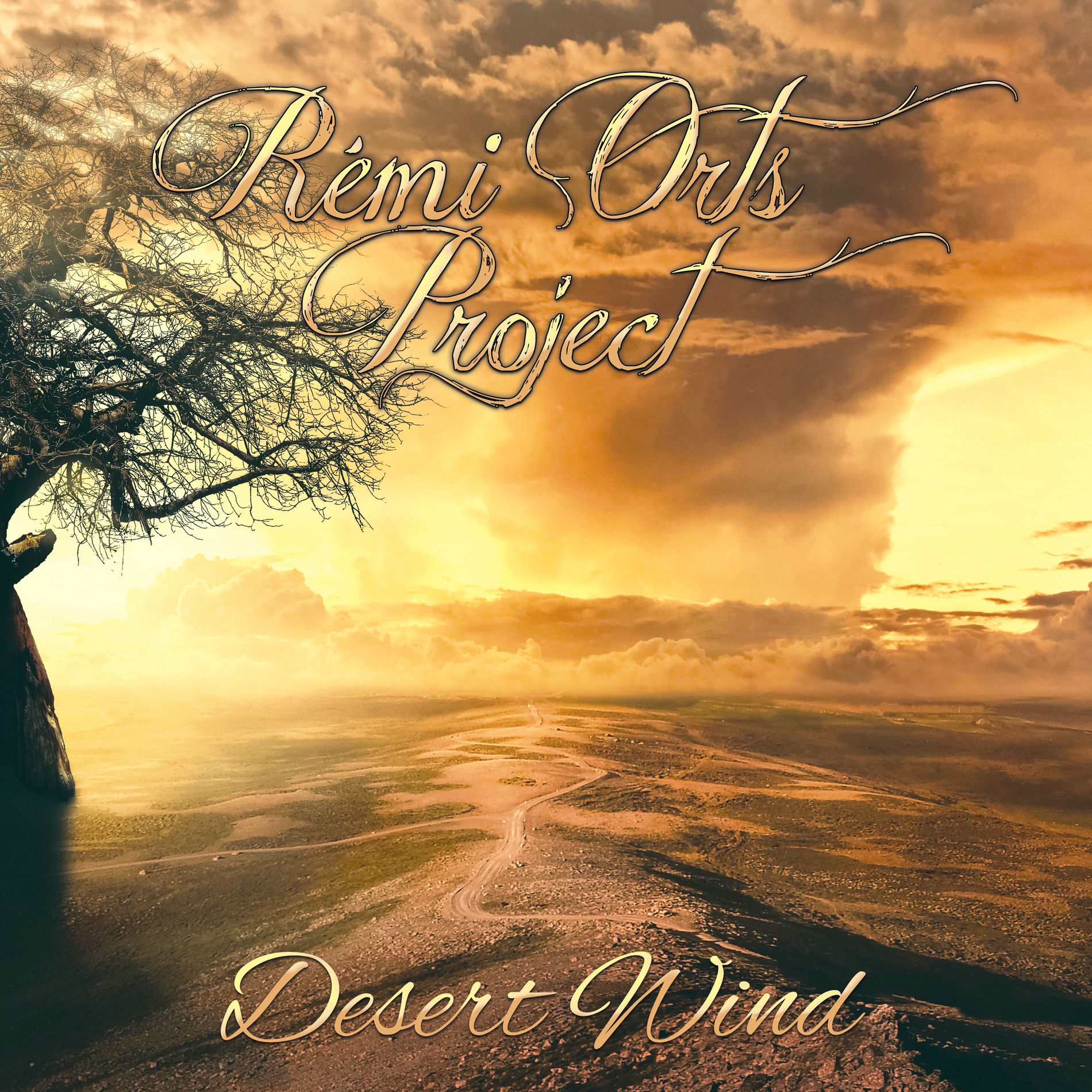Album cover of Desert wind
