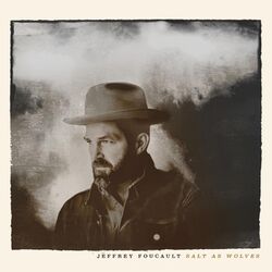 Cover of Salt as Wolves