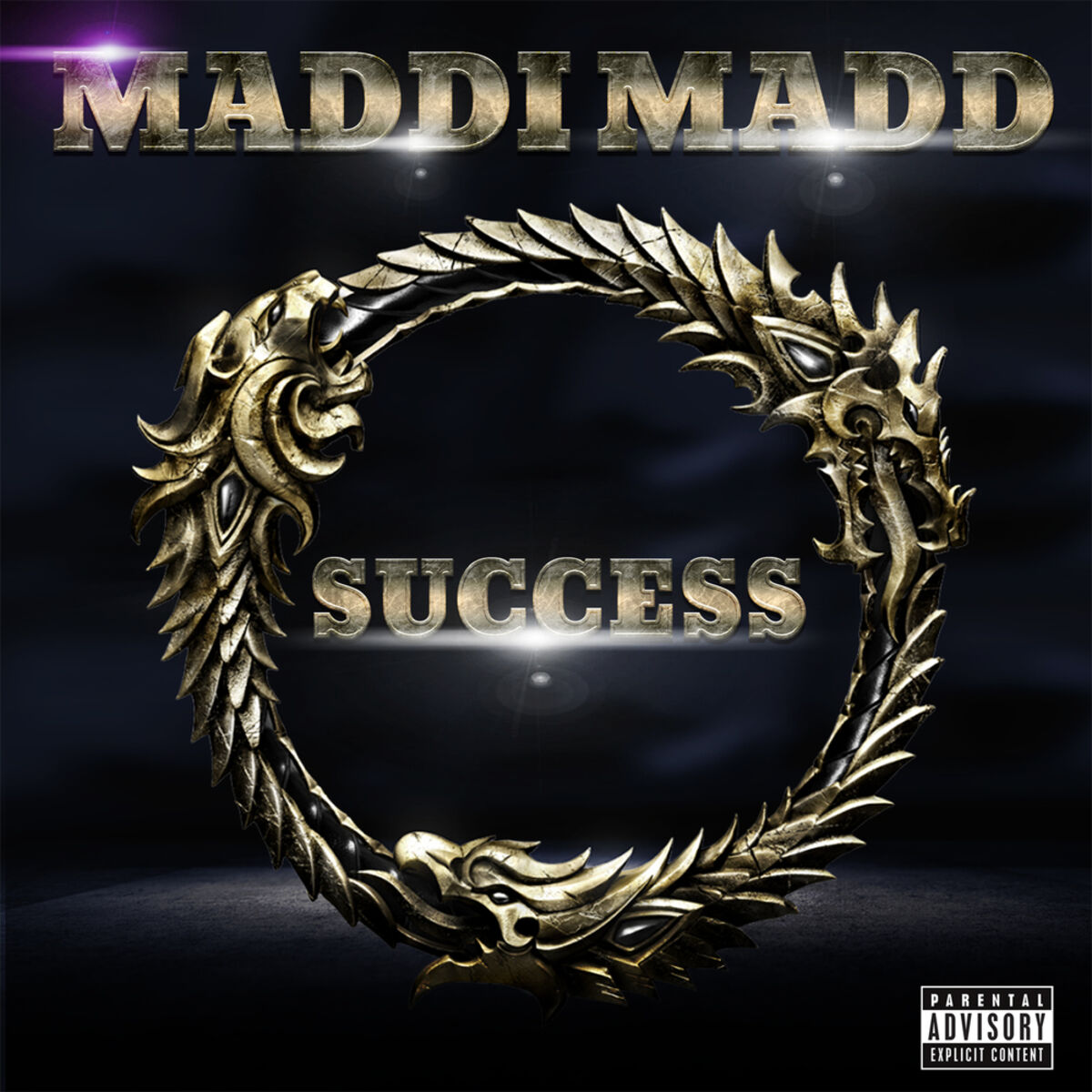 Album cover of Success