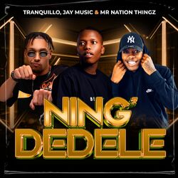 Cover of Ning'Dedele