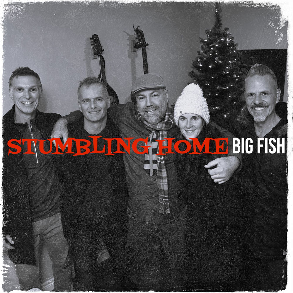 Stumbling Home cover