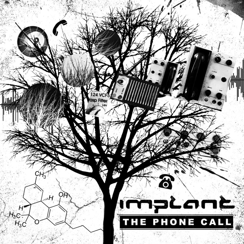 Picture of The Phone Call