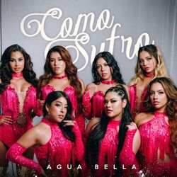 Cover of Como Sufro
