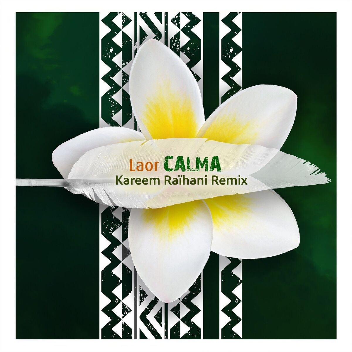 Album cover of Calma (Kareem Raïhani Remix)