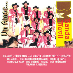 Cover of Un Amor...