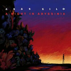 Cover of A Night In Abyssinia