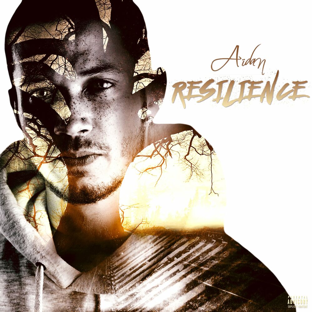 Picture of Résilience