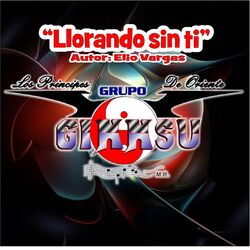 Cover of Llorando Sin Ti