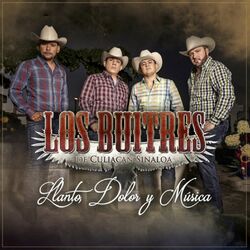 Cover of Llanto, Dolor Y Musica