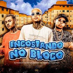 Cover of Encostando no Bloco