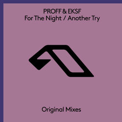 Cover of For The Night / Another Try