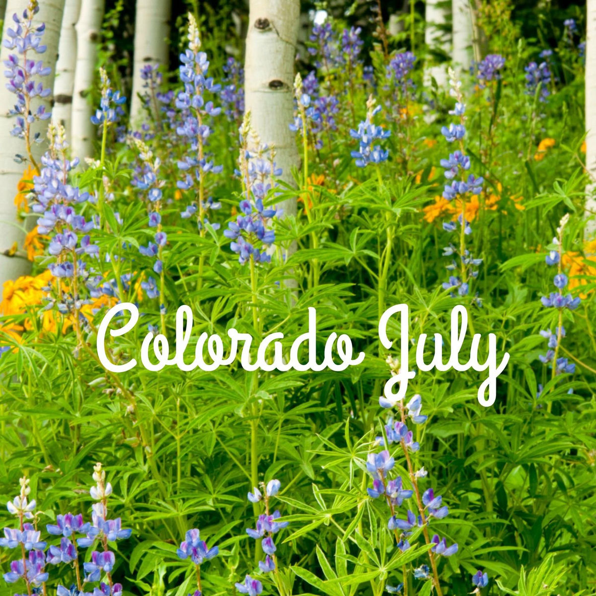 Album cover of Colorado July