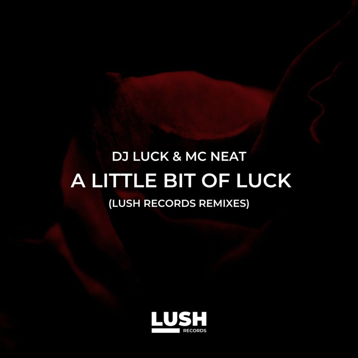Album cover of A Little Bit of Luck Remixes