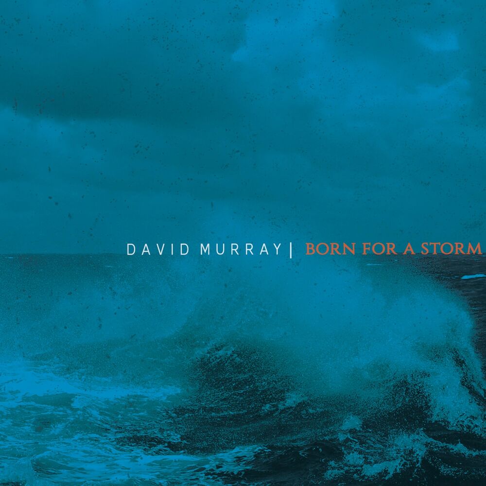 Picture of Born for a Storm