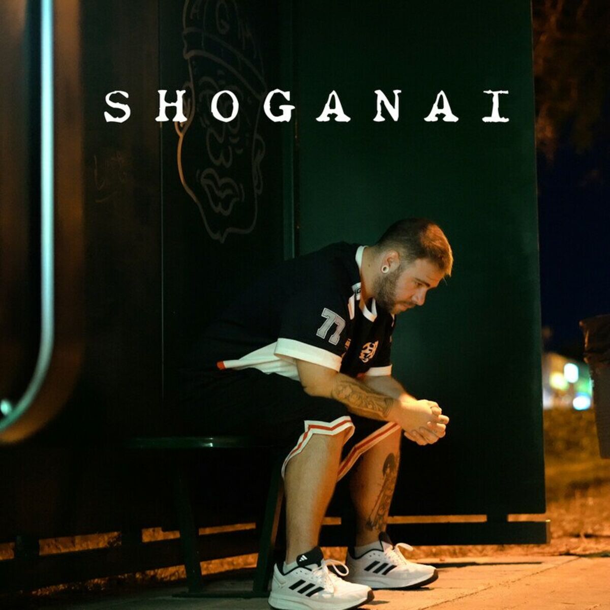 Album cover of Shoganai
