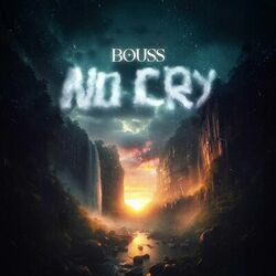 Cover of No cry