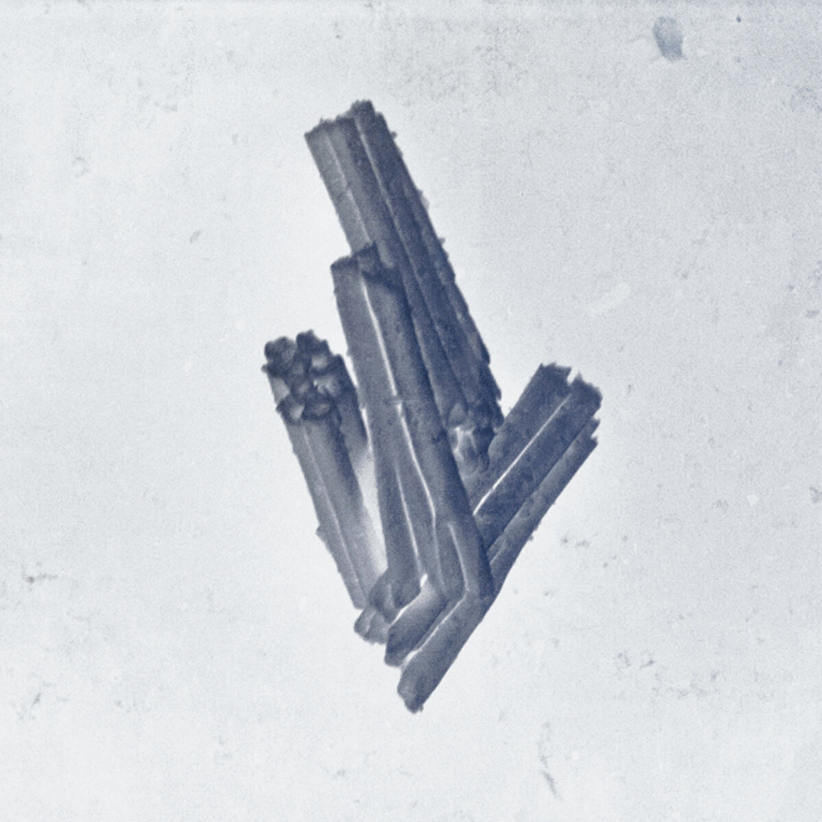 Album cover of Echoes / Dancing Around Control