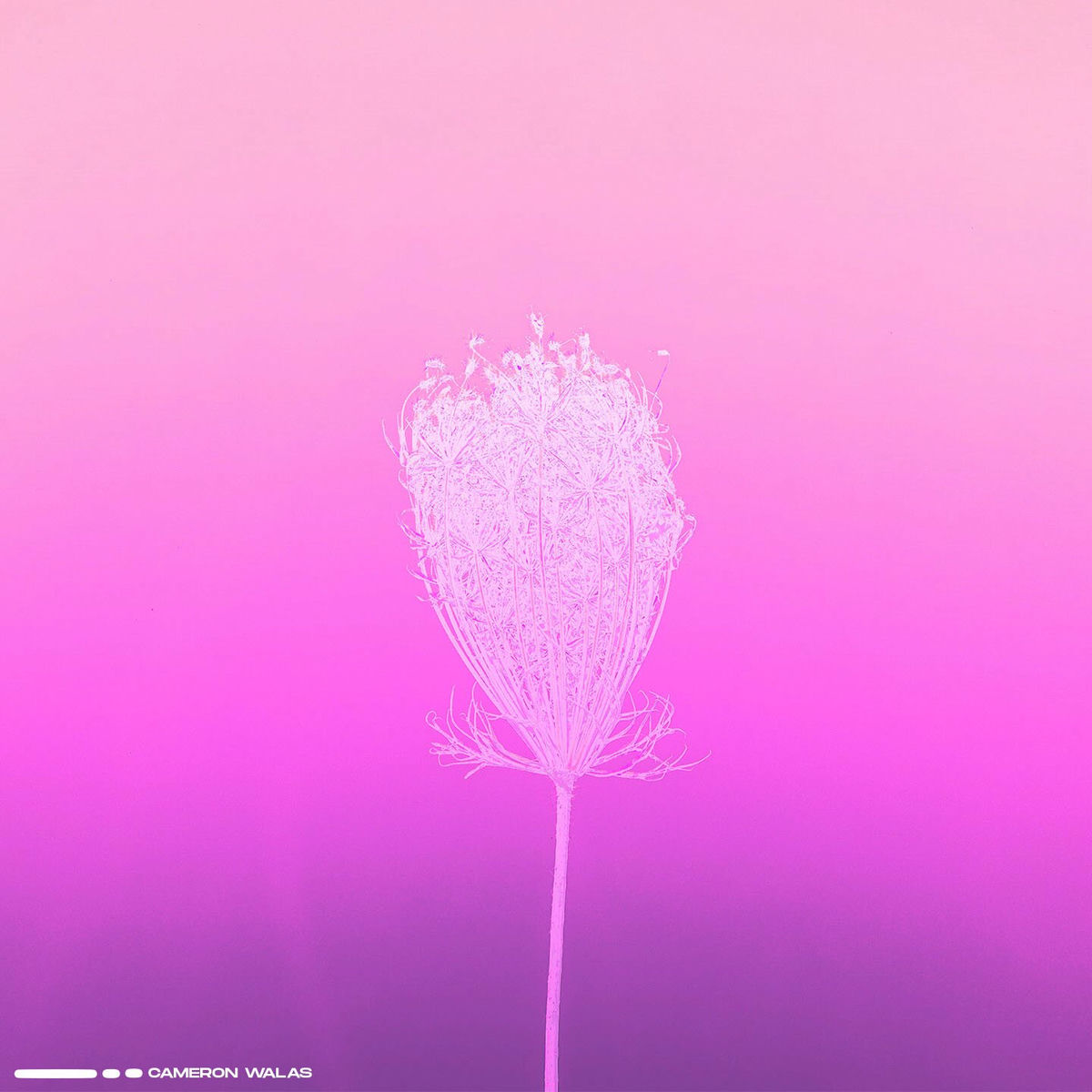 Album cover of Dancing Raindrops