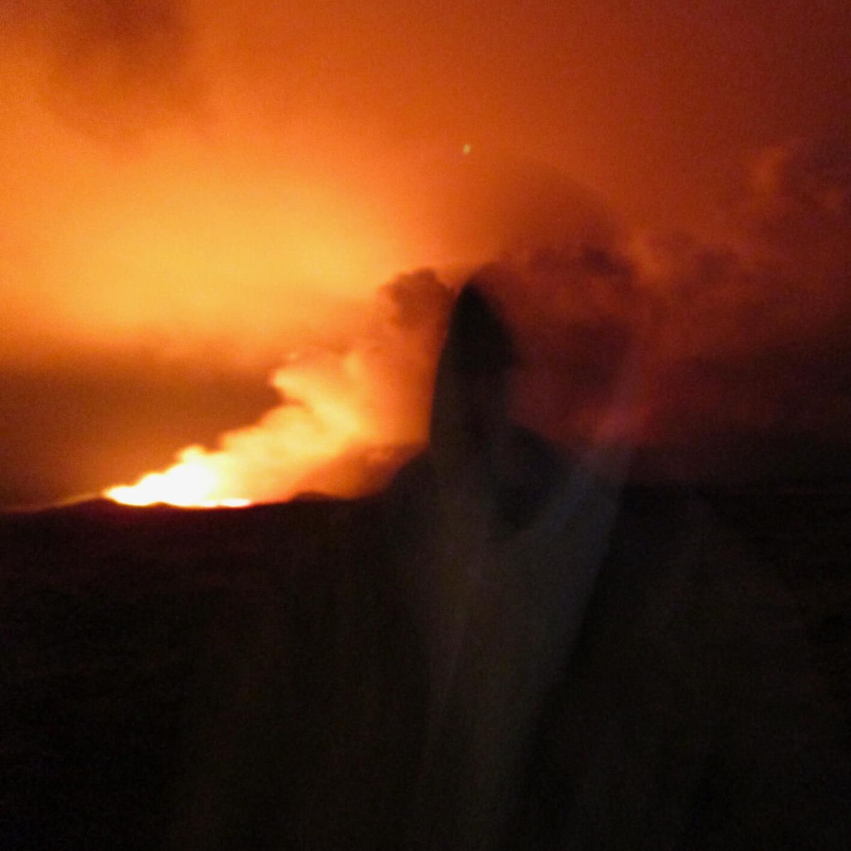 Album cover of Wolves of Worry