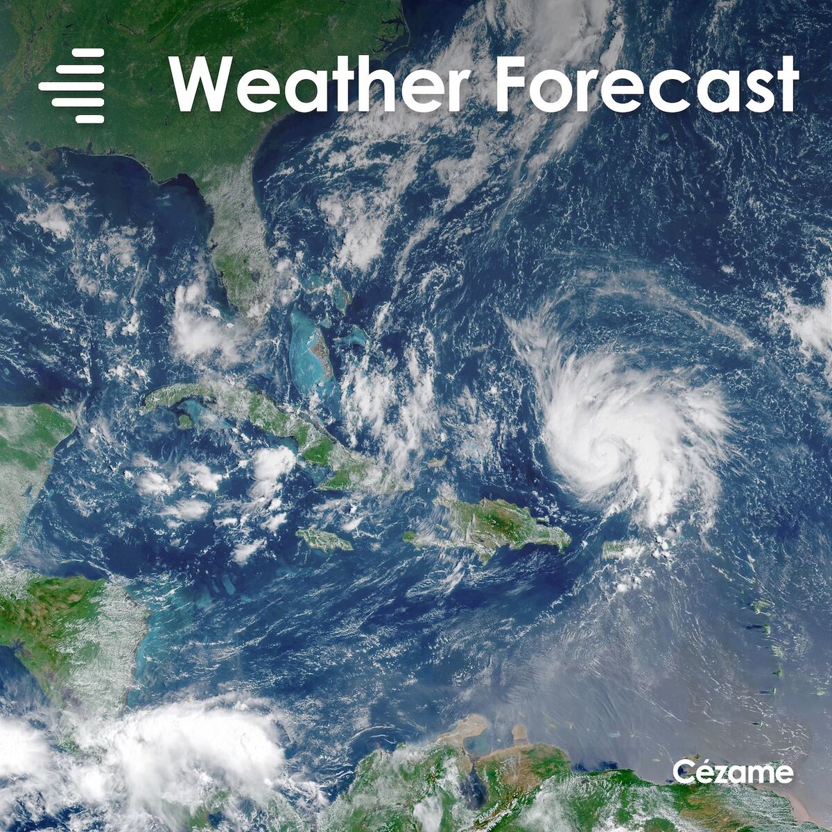Album cover of Weather Forecast