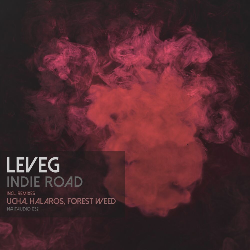Picture of Indie Road (With Remixes)