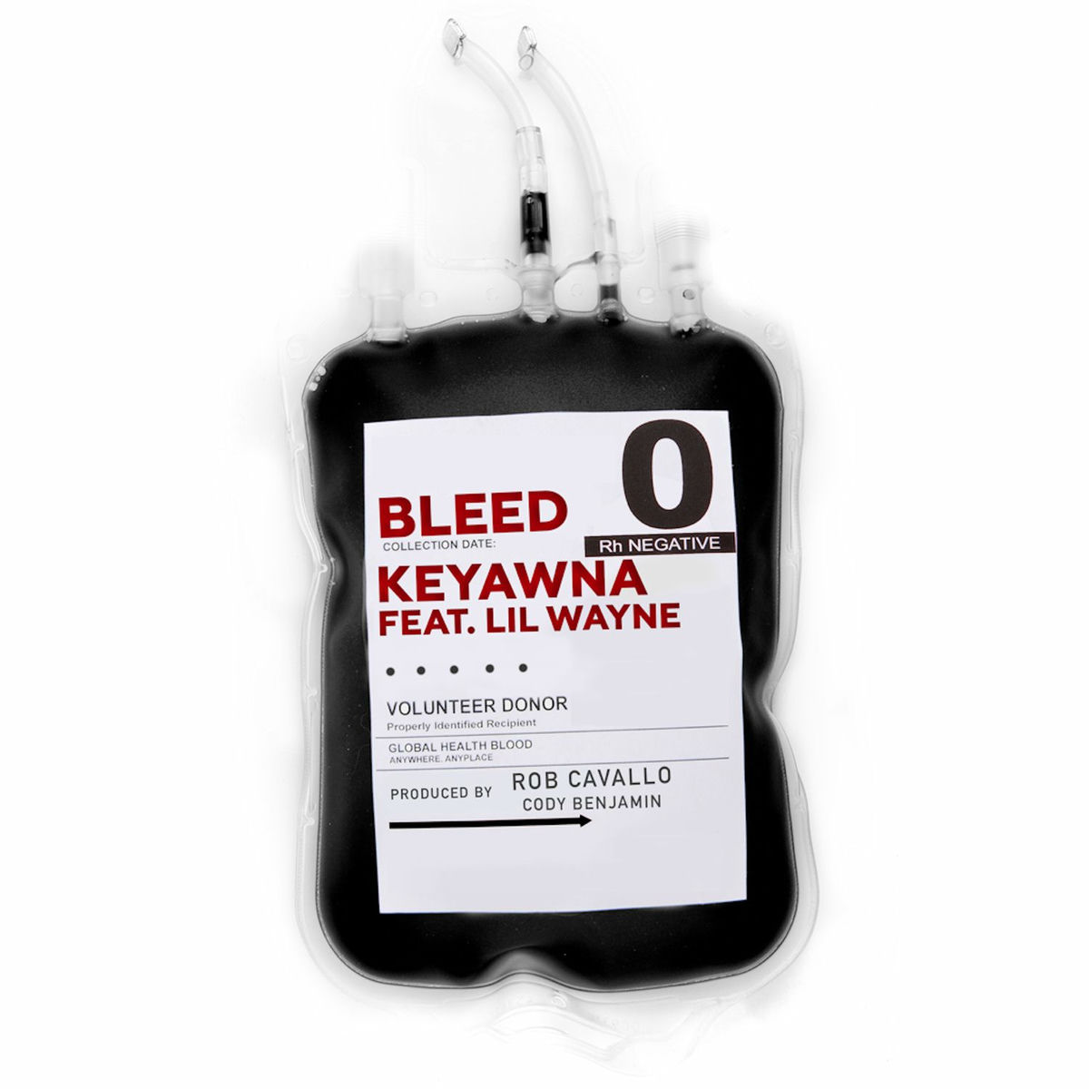 Album cover of Bleed