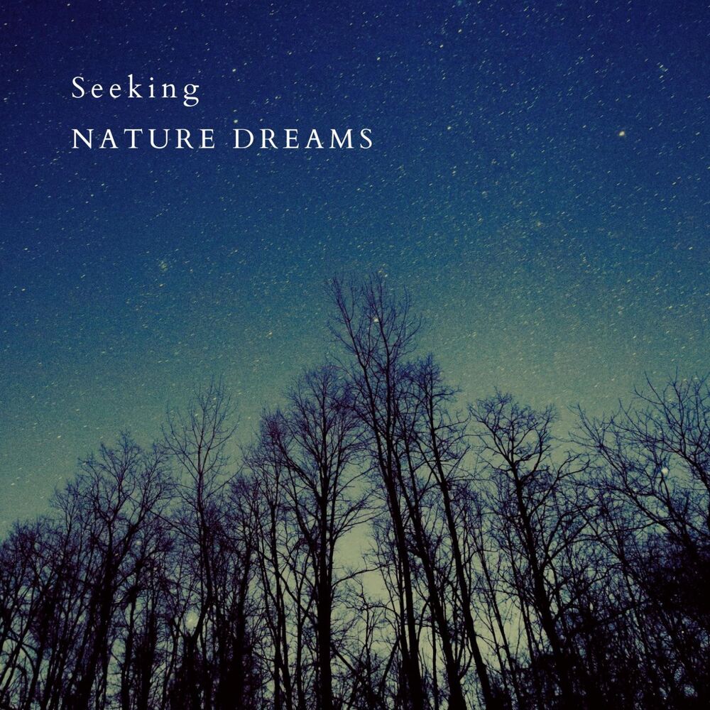 Picture of Seeking