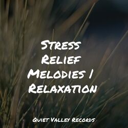 Cover of Stress Relief Melodies | Relaxation