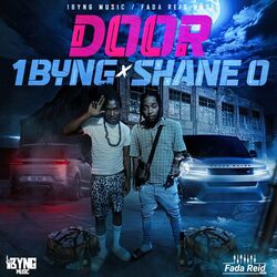 Cover of Door