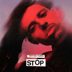 Cover of Stop