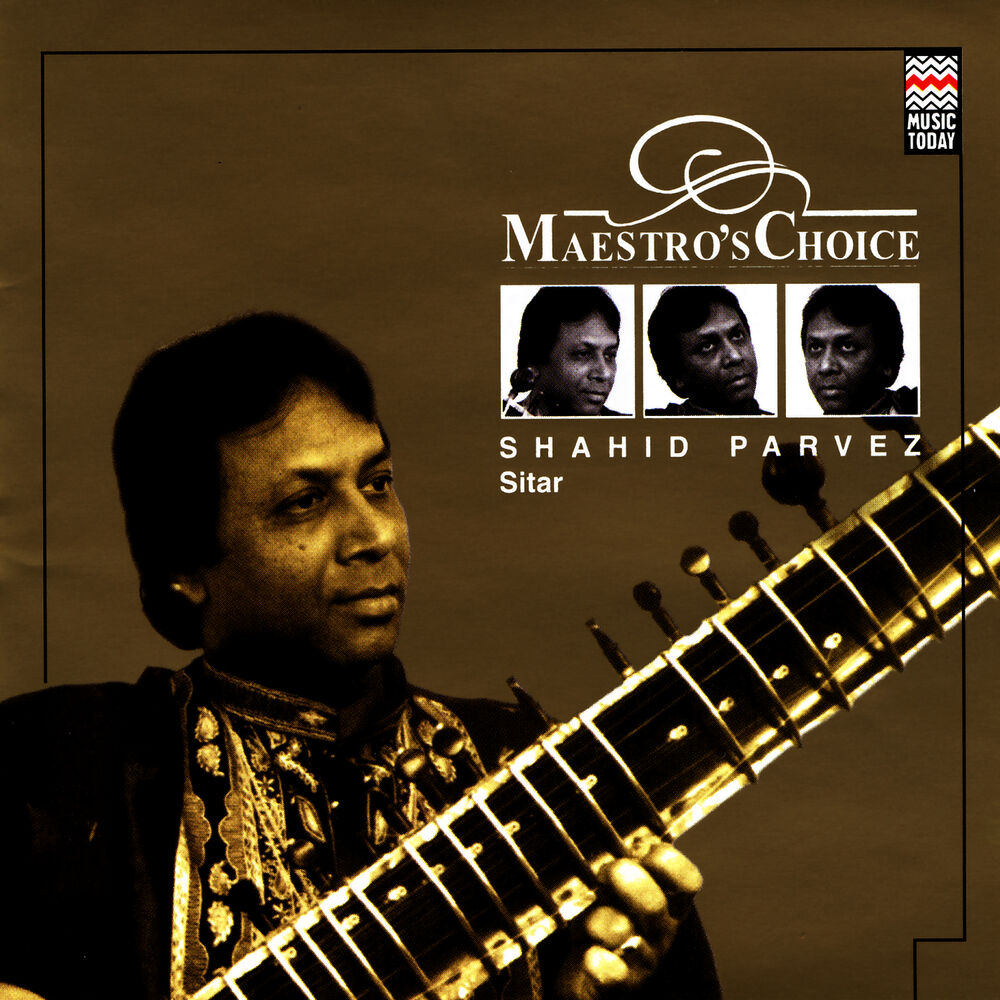 Picture of Maestro's Choice
