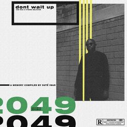 Cover of Don't Wait Up