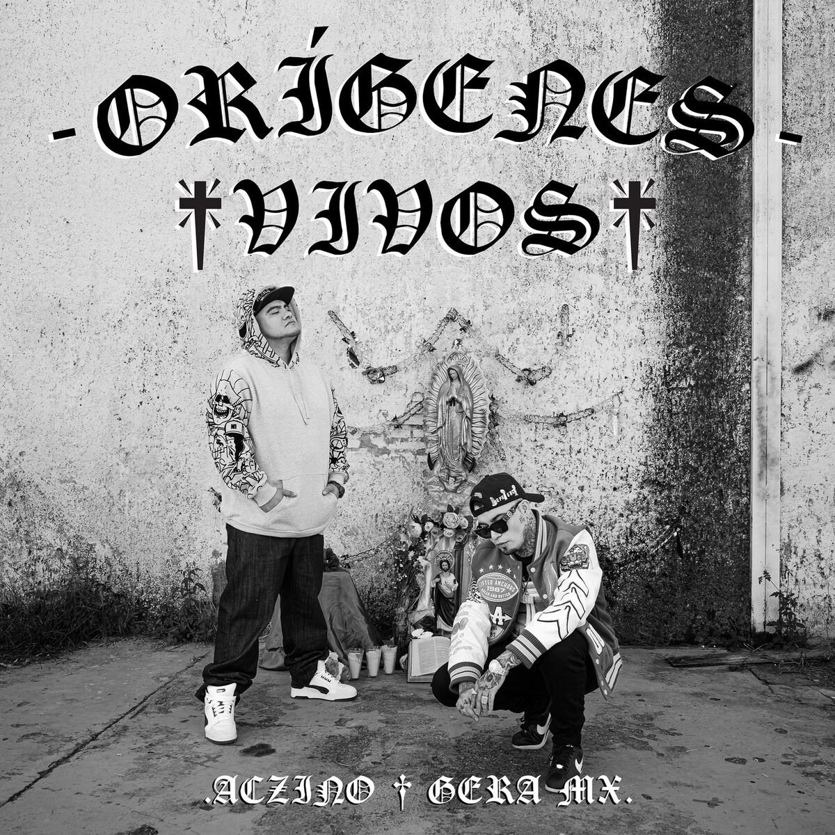 Album cover of Orígenes Vivos