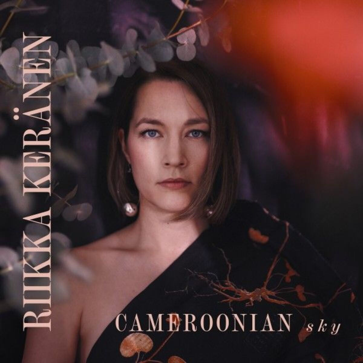 Album cover of Cameroonian Sky