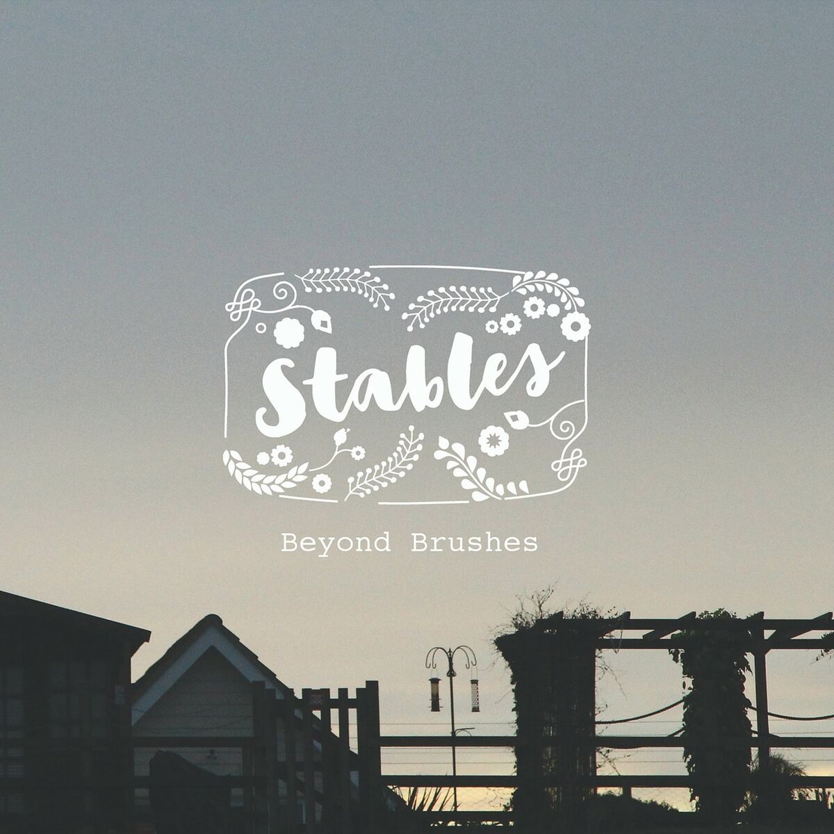 Album cover of Beyond Brushes