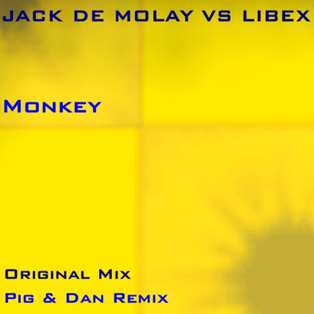 Picture of Monkey