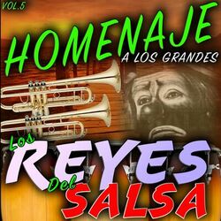 Cover of Homenaje a los Grandes, Vol. 5
