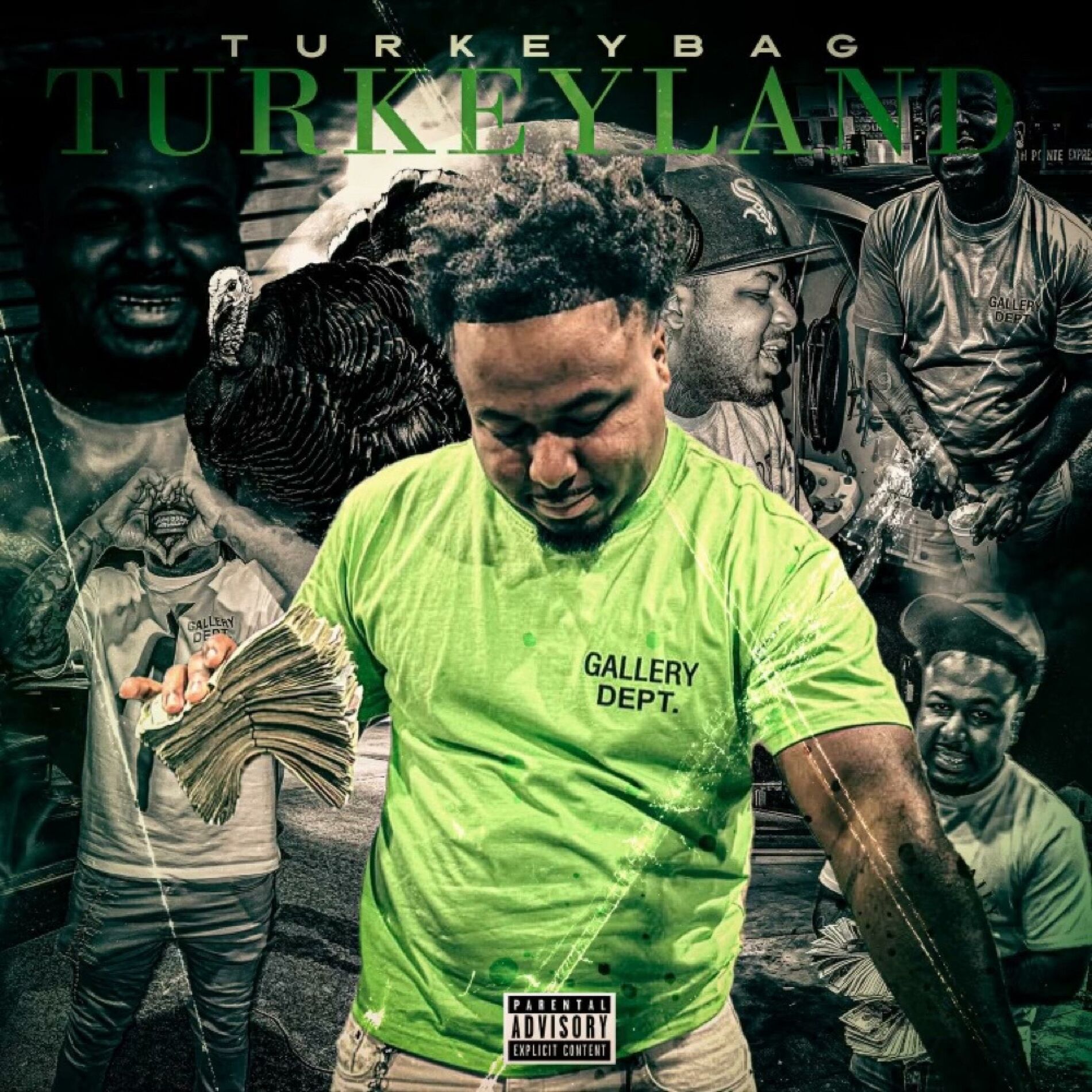 Album cover of TurkeyLand