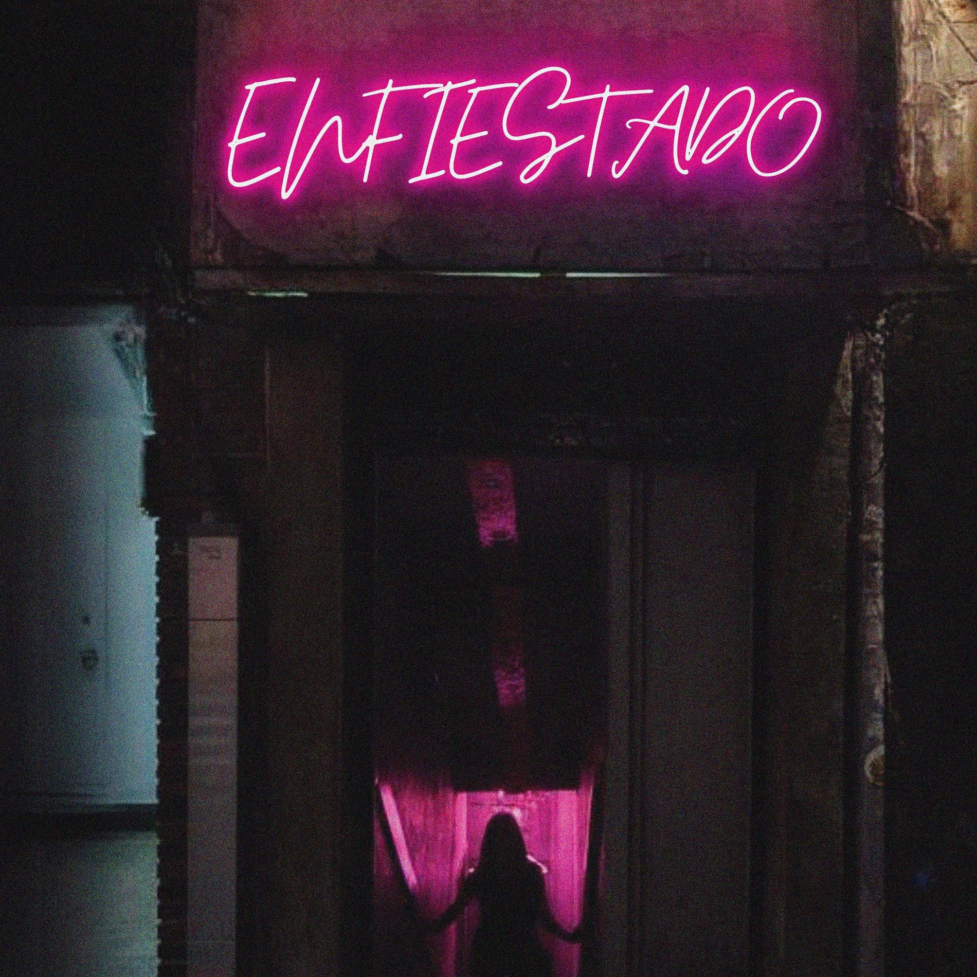 Album cover of Enfiestado