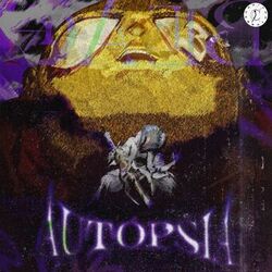 music cover
