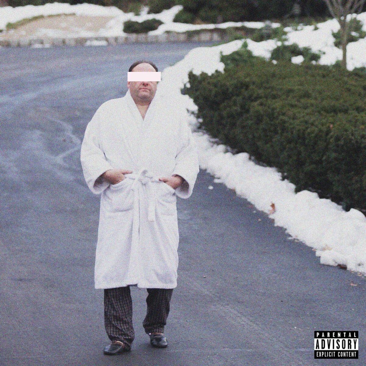 Album cover of Immunity