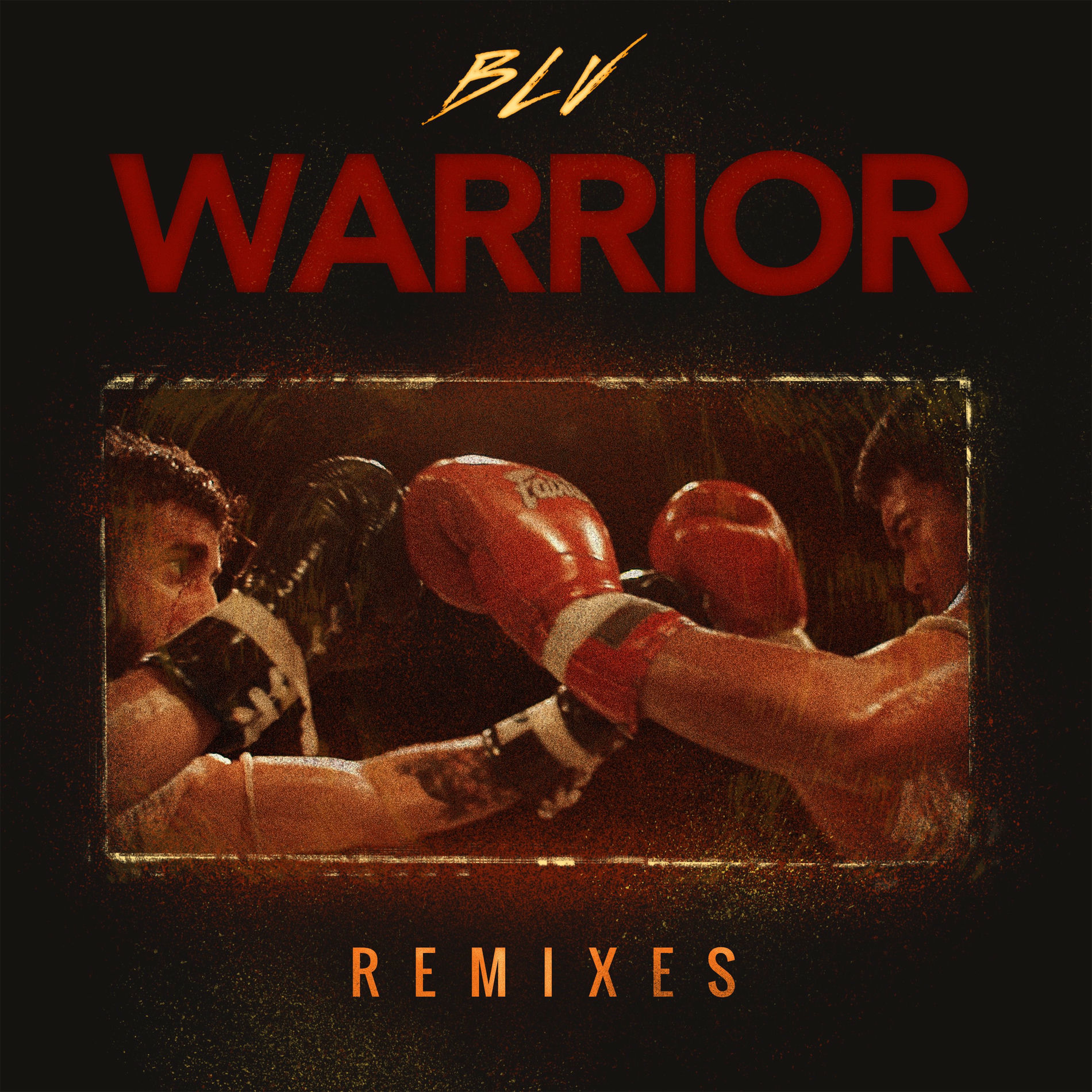 Album cover of Warrior (Remixes)