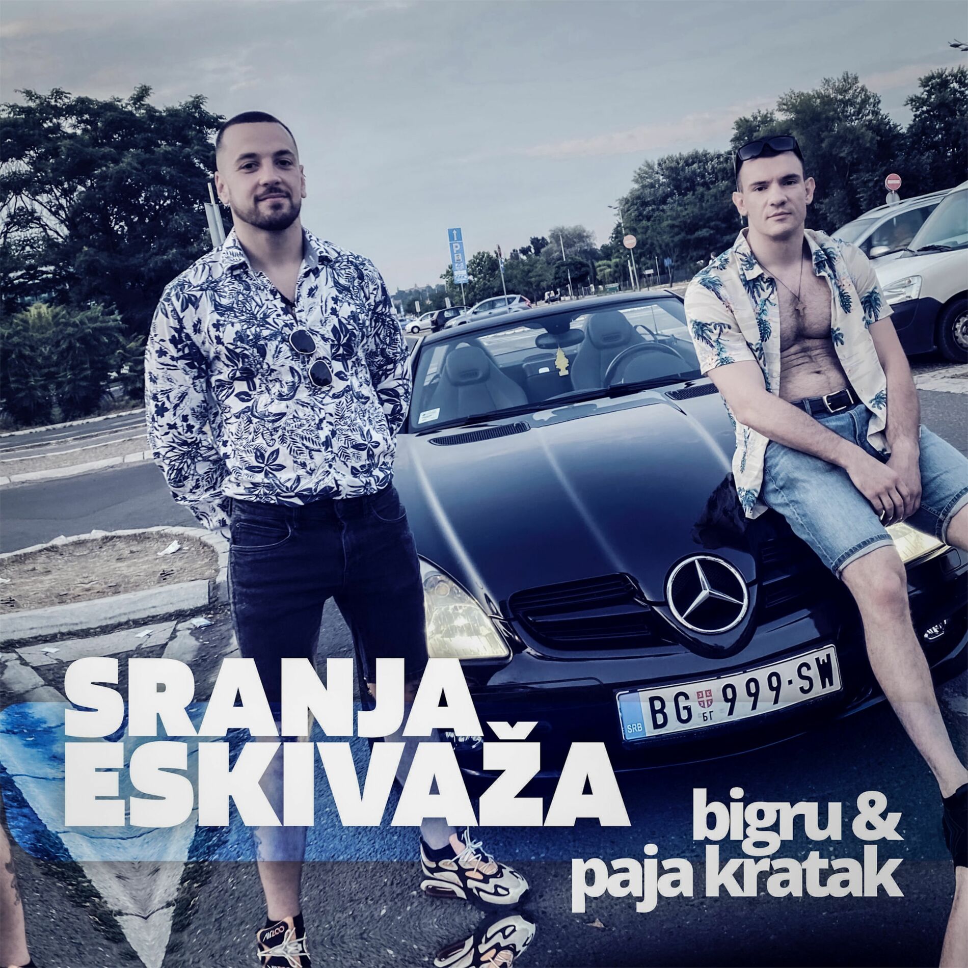 Album cover of Sranja eskivaza
