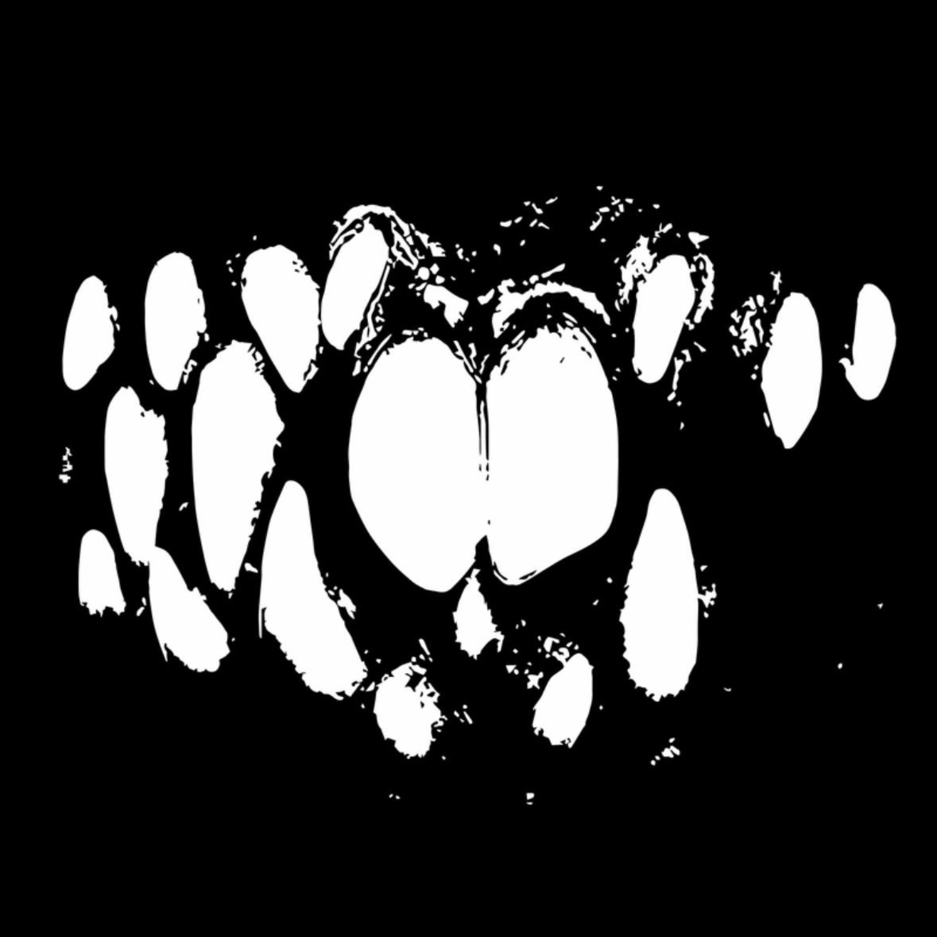 Album cover of No Music In Hell