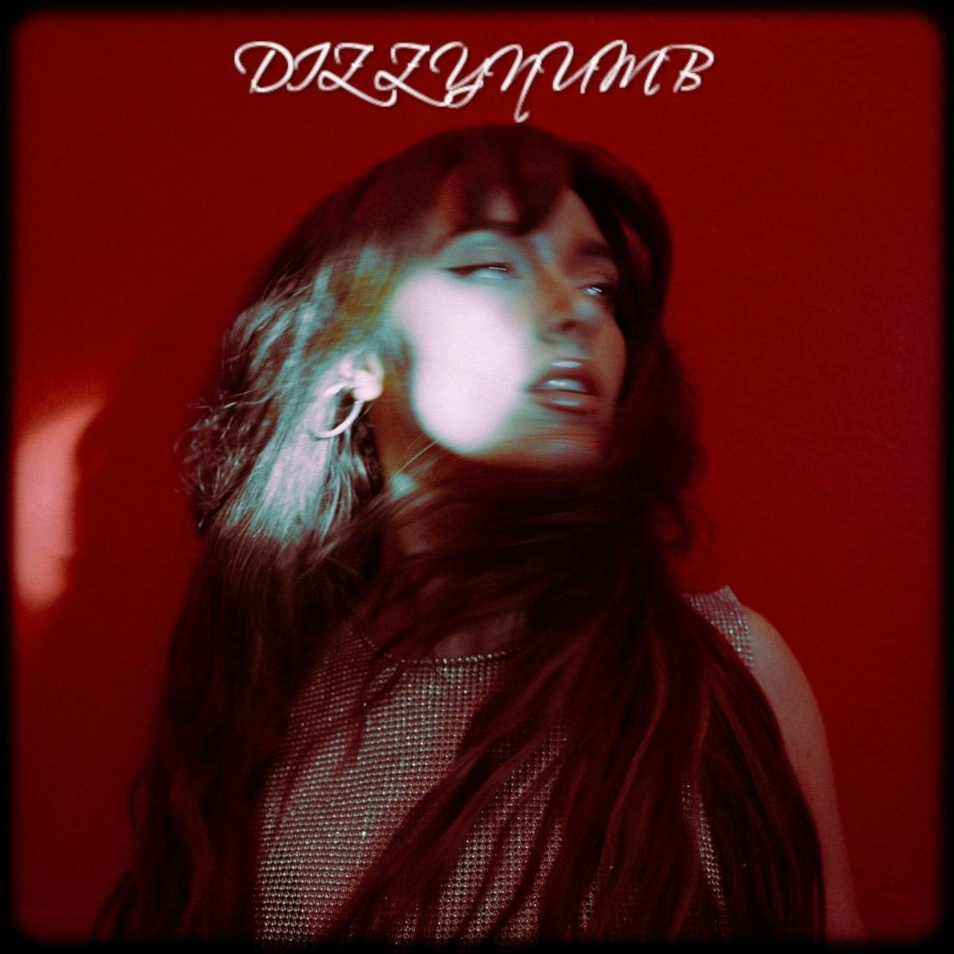 Album cover of DIZZYNUMB