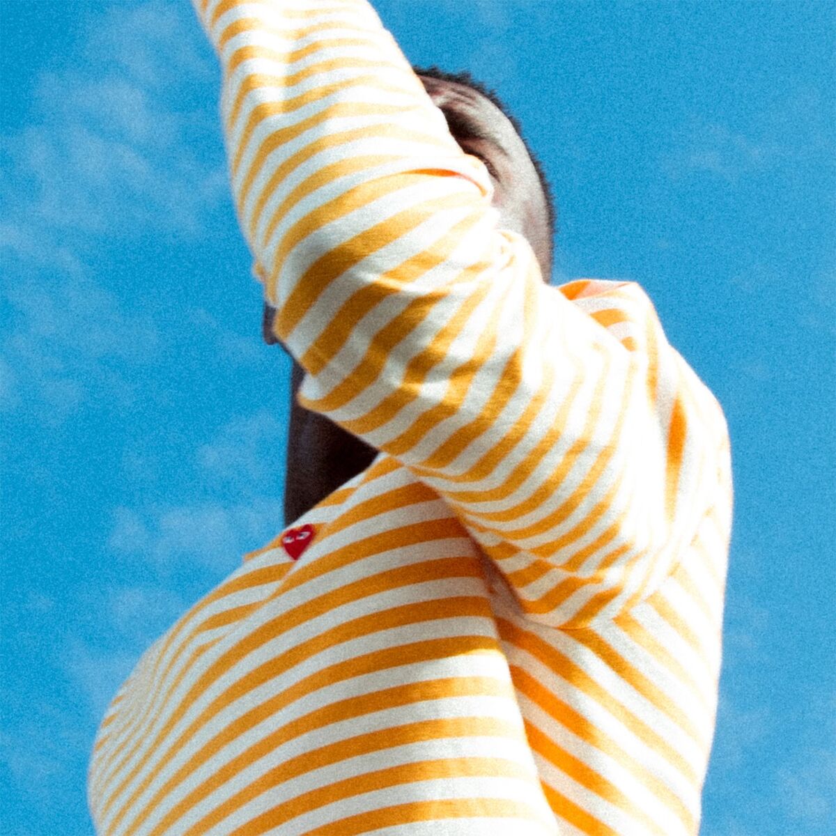 Album cover of Little Lies
