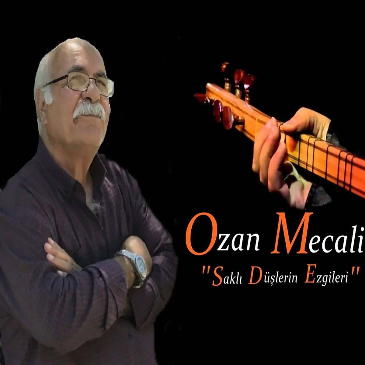 Album cover of Saklı Düşlerin Ezgileri
